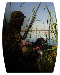 DAREC 312 Gone Hunting (Duck with Dog)